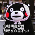 kumamon